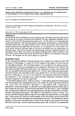 Euglena gracilis chloroplast ribosomal protein operon: a new