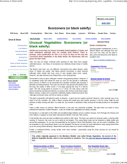 Scorzonera or black salsify