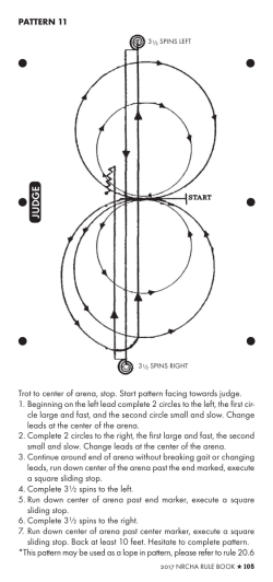 PATTERN 11 Trot to center of arena, stop. Start pattern facing