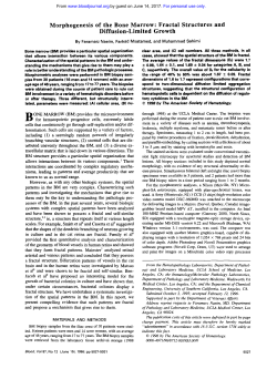 Morphogenesis of the Bone Marrow: Fractal Structures and Diffusion