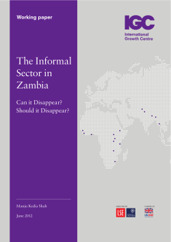 The Informal Sector in Zambia
