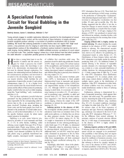 A Specialized Forebrain Circuit for Vocal Babbling in