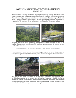 SAVE PAPUA NEW GUINEA`S TROPICAL RAIN FOREST