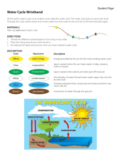 MG-Water Cycle Wristband copy