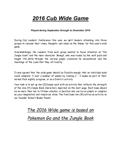 2016 Cub Wide Game