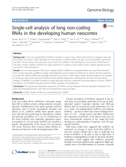 Single-cell analysis of long non-coding RNAs in the developing
