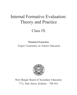 Internal Formative Evaluation: Theory and Practice