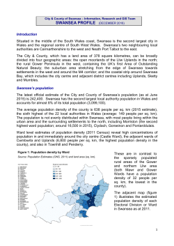 Swansea Profile
