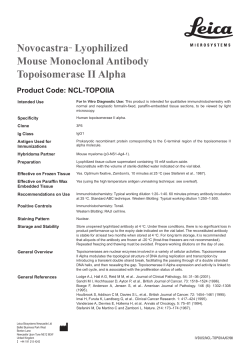 NovocastraTM Lyophilized Mouse Monoclonal