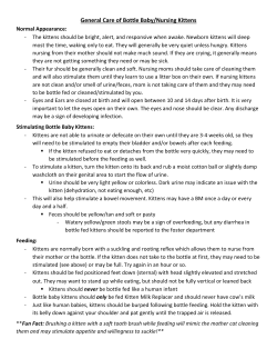 General Care of Bottle Baby/Nursing Kittens
