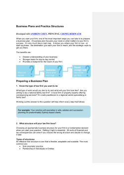 Business Plans and Practice Structures