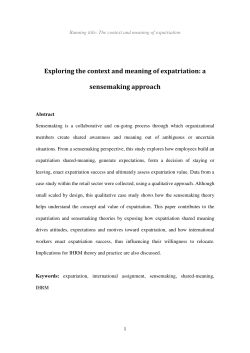 Exploring the context and meaning of expatriation: a sensemaking