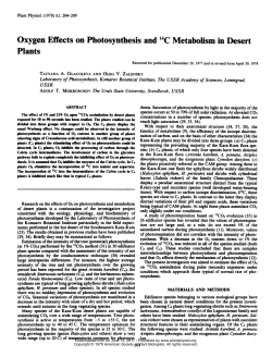 Oxygen Effects on Photosynthesis and 14C