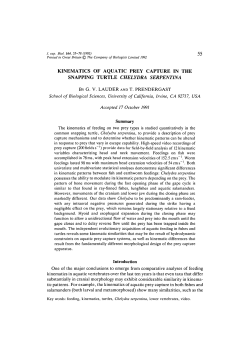 kinematics of aquatic prey capture in the snapping turtle chelydra