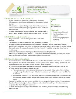 Plant Adaptations Fibrous vs. Tap Roots