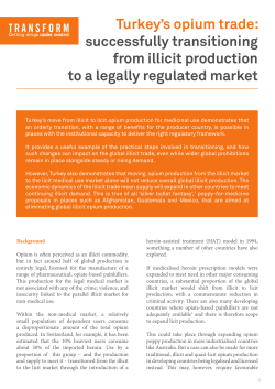 PDF - Transform Drug Policy Foundation