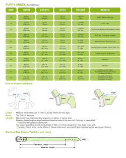 PUPPY ANGEL Size Selector SIZE CHEST LENGTH NECK