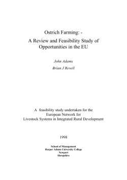 Ostrich Farming - The Macaulay Land Use Research Institute
