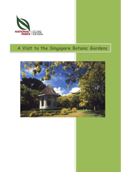 Worksheets for Students