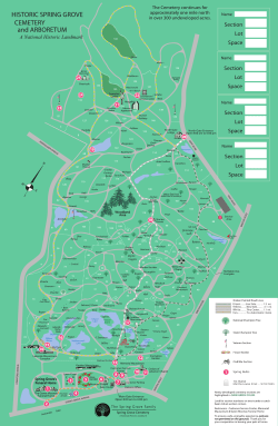 2011 Spring Bulbs - Spring Grove Cemetery