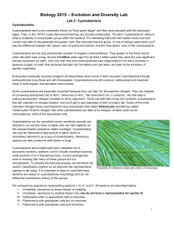 Biology 2015 &ndash; Evolution and Diversity Lab