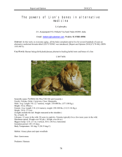 The powers of Lion`s bones in alternative medicine