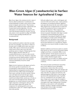 Blue-Green Algae (Cyanobacteria) in Surface Water Sources for