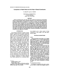 Composition of Rabbit Semen and the Origin of Several Constituents