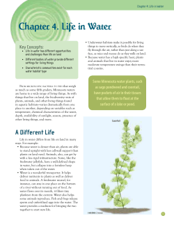 Chapter 4. Life in Water - Minnesota DNR - MN-dnr