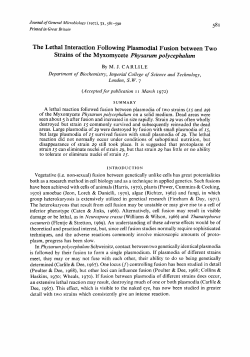 The Lethal Interaction Following Plasmodia1 Fusion