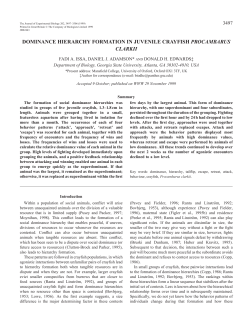 Social hierarchy formation in crayfish