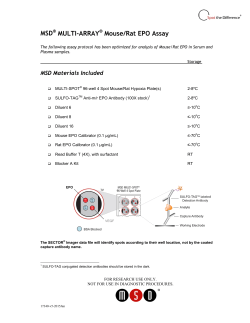 Mouse Rat EPO Serum - Meso Scale Discovery