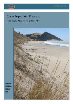 Castlepoint Beach Fine Scale Monitoring 2013/14