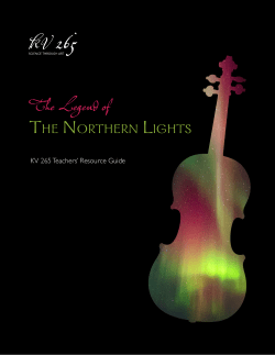 the work`s Teachers` Resource Guide from KV 265!