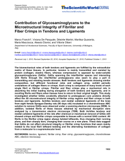 Contribution of Glycosaminoglycans to the Microstructural