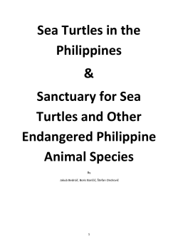 Sea Turtle Sanctuary - European Wildlife Preservation Fund
