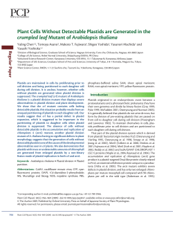 Plant Cells Without Detectable Plastids are