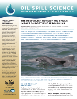The Deepwater Horizon`s Impact on Bottlenose Dolphins