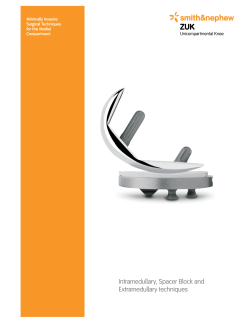 Intramedullary, Spacer Block and Extramedullary techniques