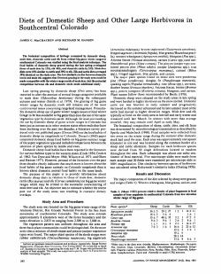 Diets of Domestic Sheep and Other Large Herbivores in