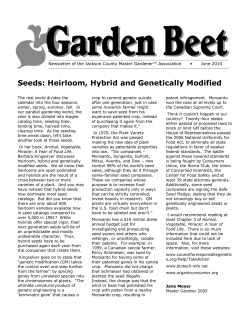 Seeds: Heirloom, Hybrid and Genetically Modified