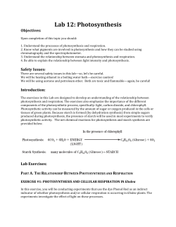 Lab 12 Photosynthesis