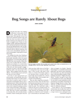 TERMINAL SEGMENT Bug Songs are Rarely About Bugs
