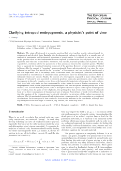 Clarifying tetrapod embryogenesis, a physicist`s point of view