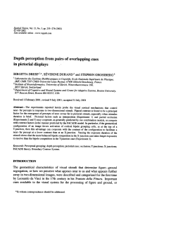 Depth perception from pairs of overlapping cues in pictorial displays