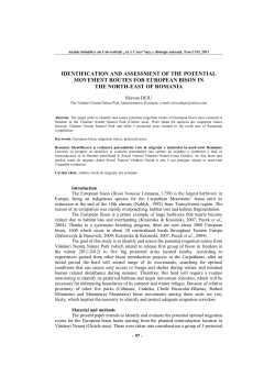 identification and assessment of the potential movement routes for