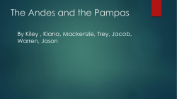 The Andes and the Pampas