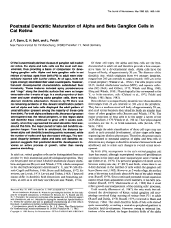 Postnatal Dendritic Maturation of Alpha and Beta Ganglion Cells in