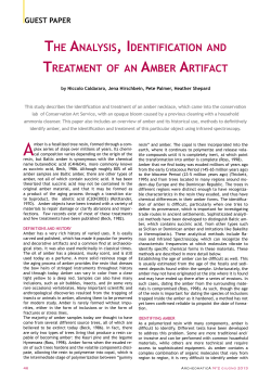 the analysis, identification and treatment of an amber