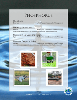 Phosphorus